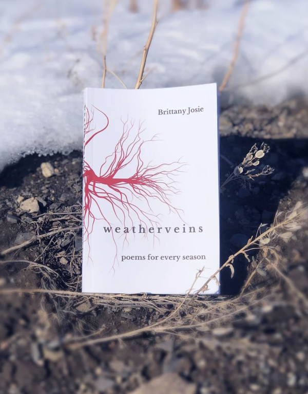 weatherveins by Brittany Josie